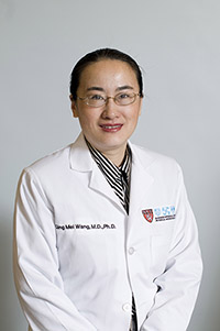 Image of Qing Mei Wang, M.D.,Ph.D.